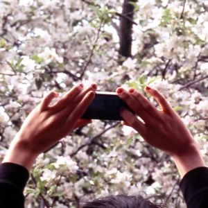 Meet your Posher, Barbi